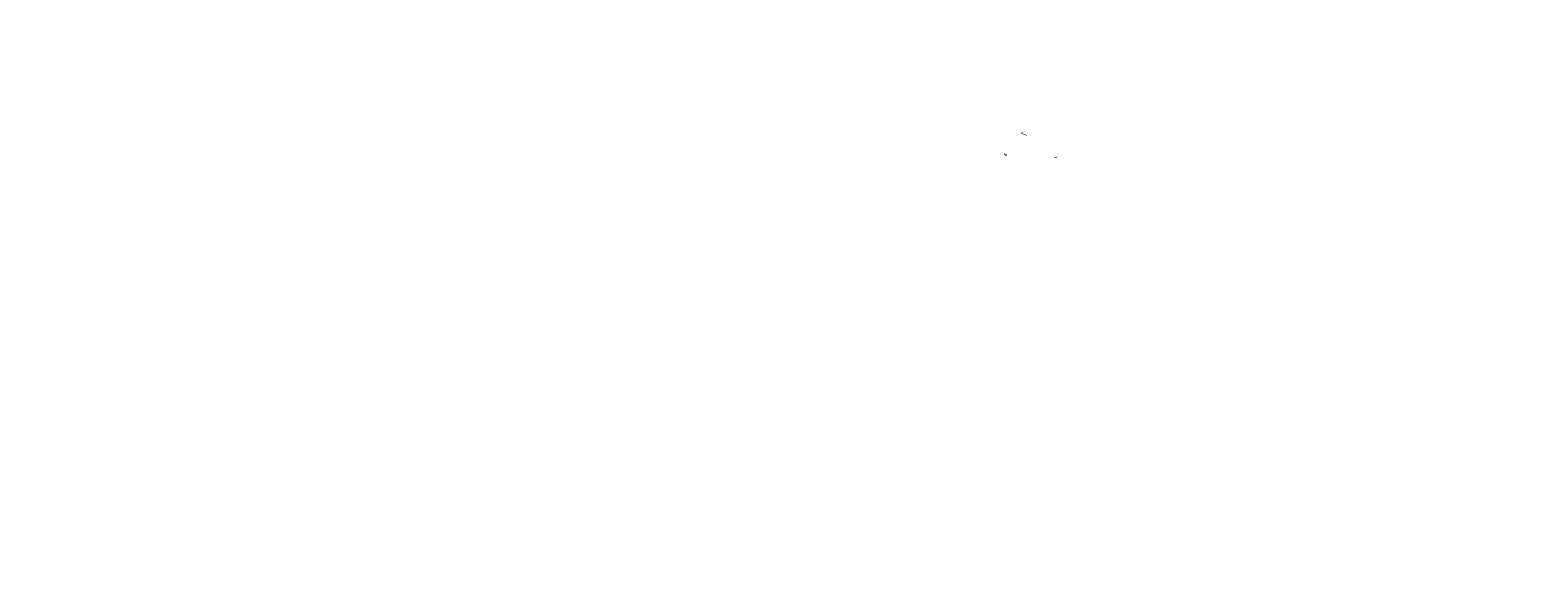 Carolina Forestry Real Estate Logo