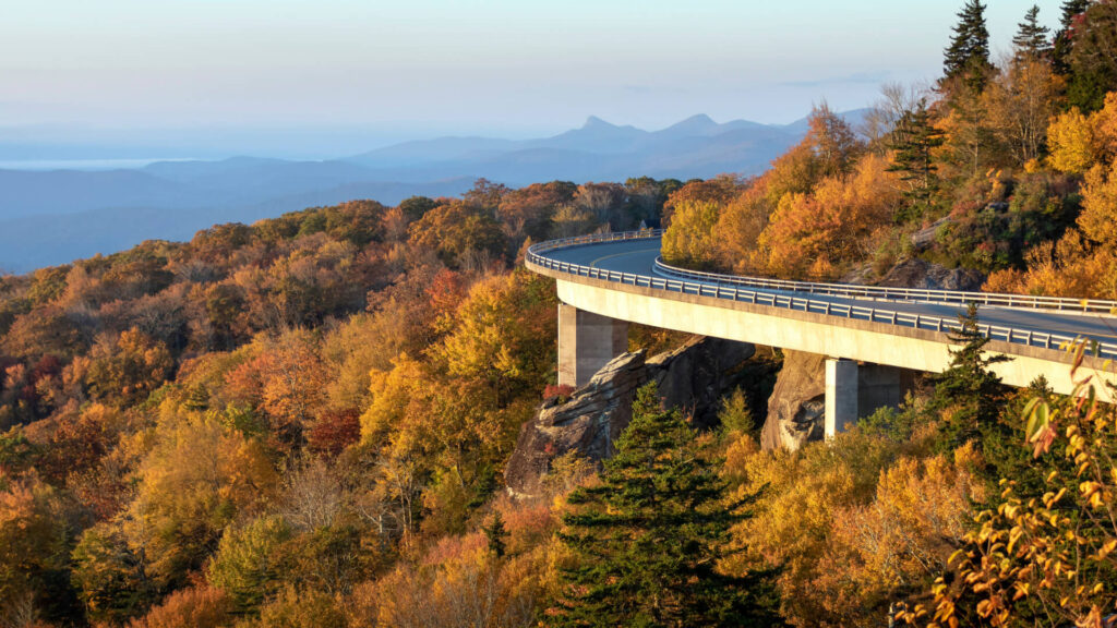 From the rugged peaks of the Blue Ridge Mountains to the sandy stretches of the Outer Banks, and from the longleaf pine savannas of the Sandhills to the quiet wetlands tucked across our countryside