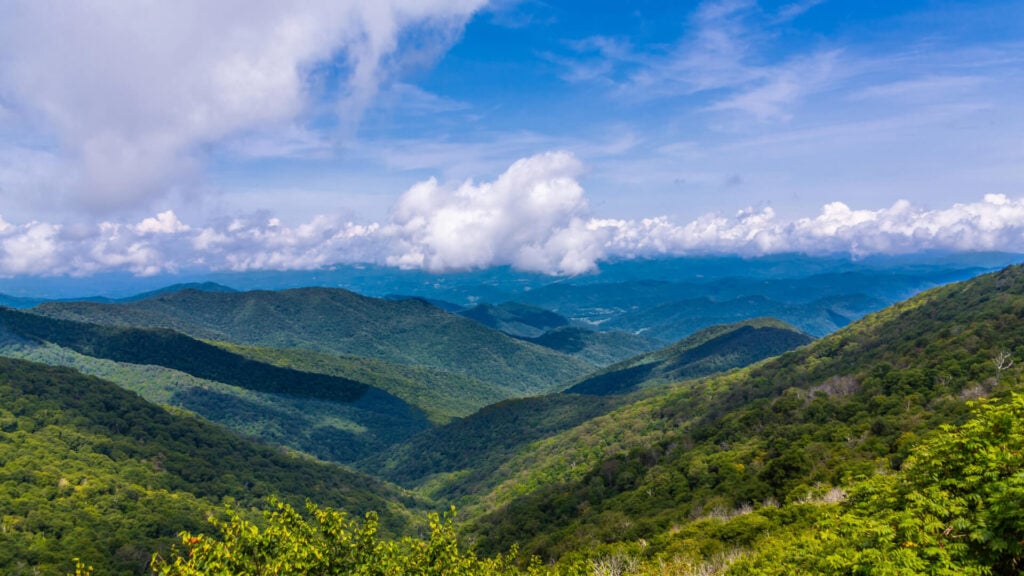 From the rugged peaks of the Blue Ridge Mountains to the sandy stretches of the Outer Banks, and from the longleaf pine savannas of the Sandhills to the quiet wetlands tucked across our countryside