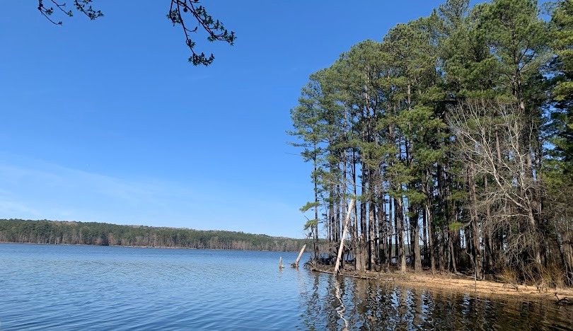Chatham County, NC - Carolina Forestry Real Estate Blog