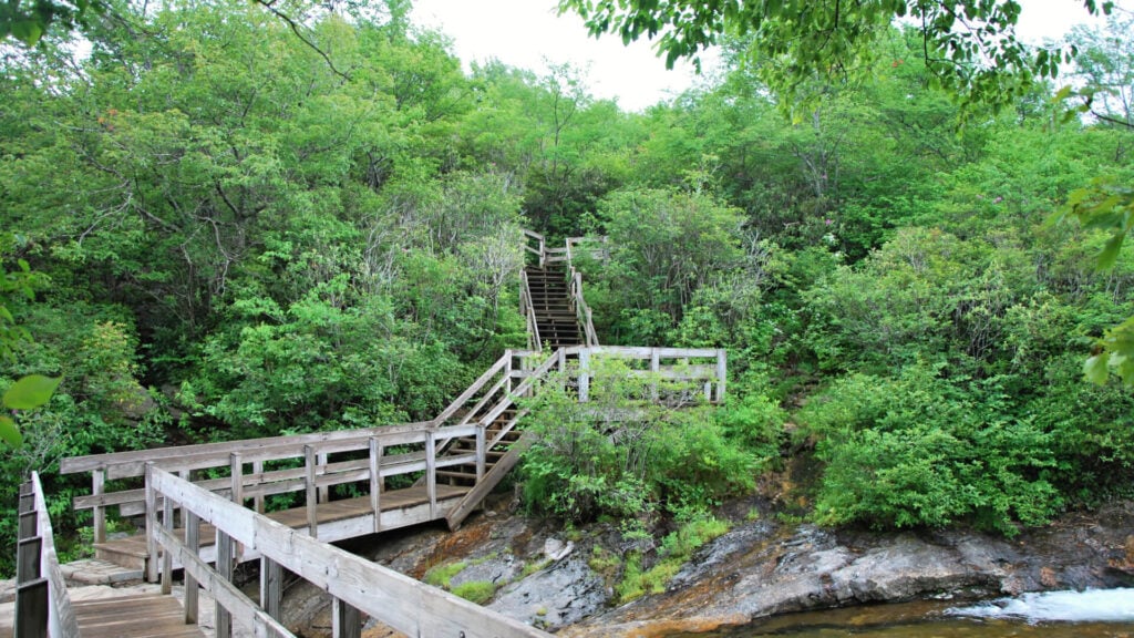 Lumber Cost in North Carolina, Carolina Forestry Real Estate
