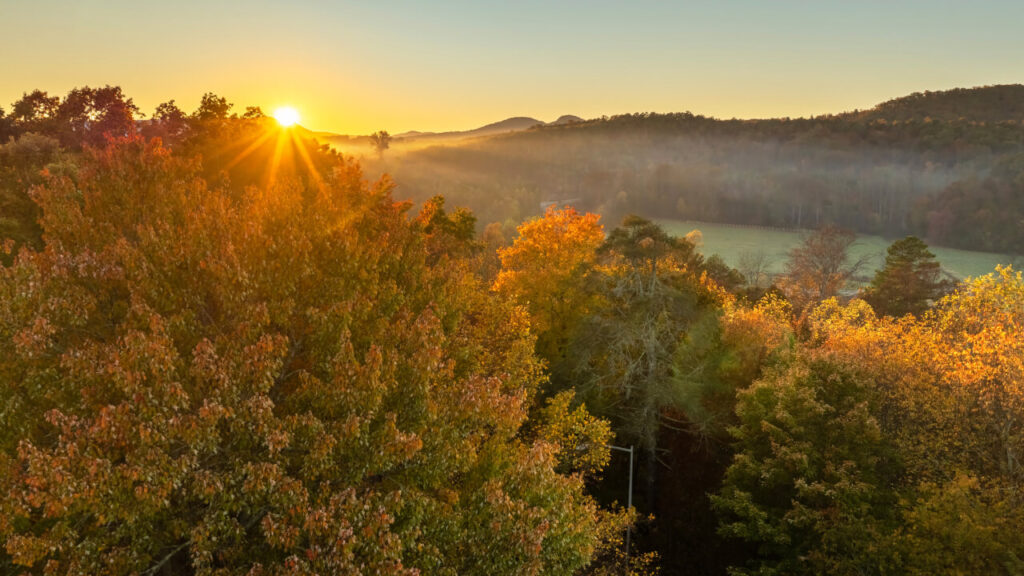 Land Dreams Unlocked: Expert Guidance to Your Ideal North Carolina Property