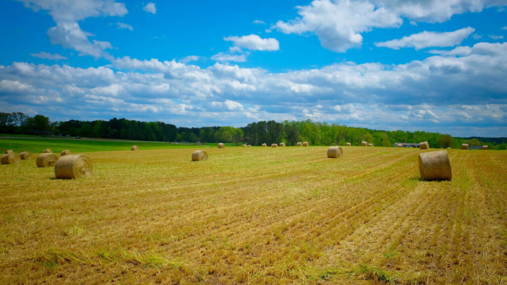 When Hurricane Helene swept through the highlands of western North Carolina, it churned up forests, fields and farms alike. Months later, the scars of erosion and displaced soils are still visible—and many landowners and growers are working tirelessly to restore productivity and vitality to their land.