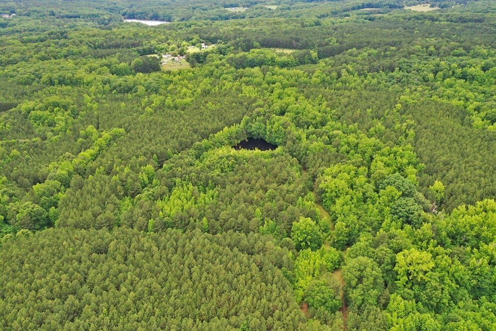 Featured Property: 54± Acres of Prime Residential Land in Granville County, NC