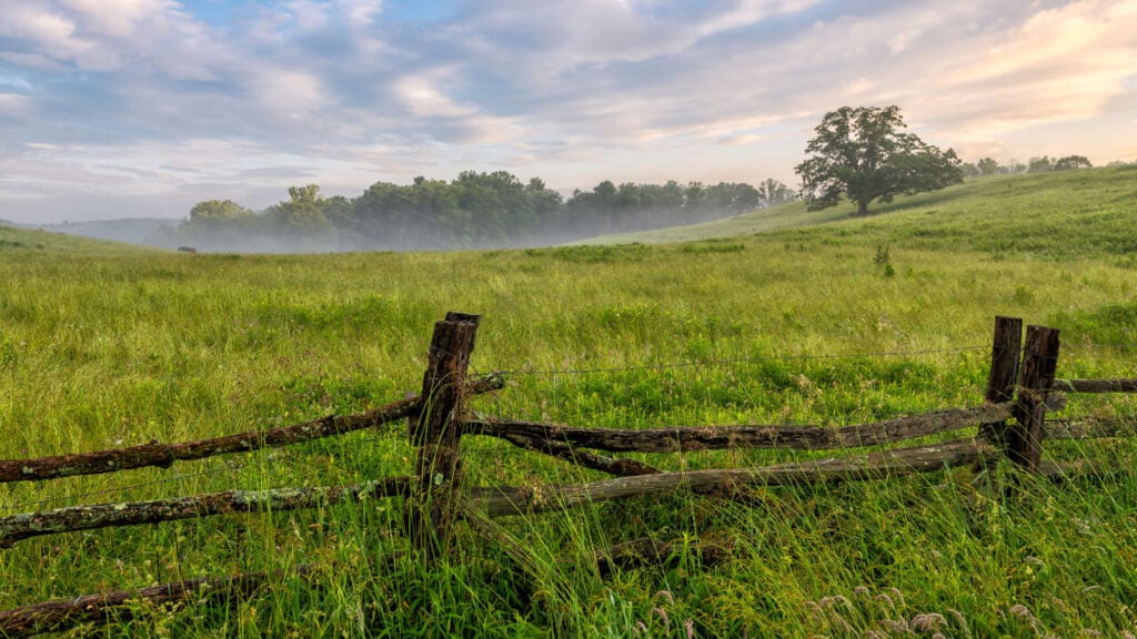 Proposed NC Legislation Would Ban Foreign Adversaries from Buying Farmland Near Military Bases