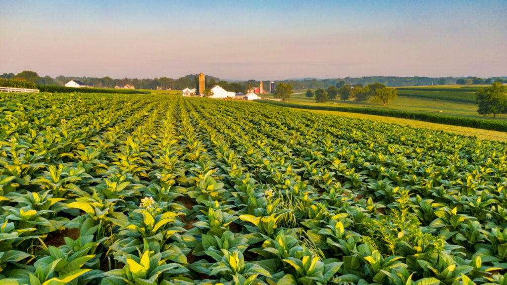 Proposed NC Legislation Would Ban Foreign Adversaries from Buying Farmland Near Military Bases