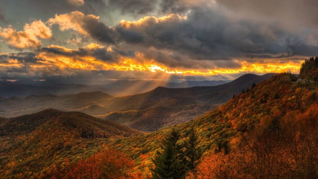 Every autumn, North Carolina’s forests put on one of the most spectacular seasonal shows in the country. When to Expect Peak Fall Foliage!
