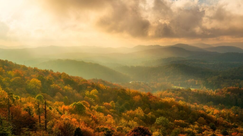 North Carolina Weather, tips & Tricks, Blog by North carolina forestry realty