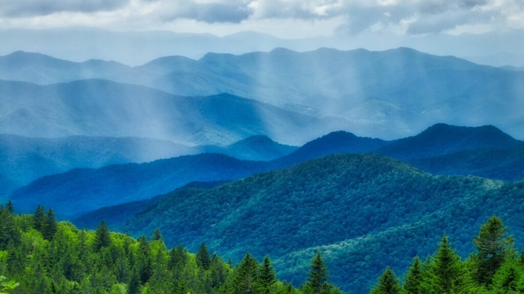 North Carolina Weather, tips & Tricks, Blog by North carolina forestry realty
