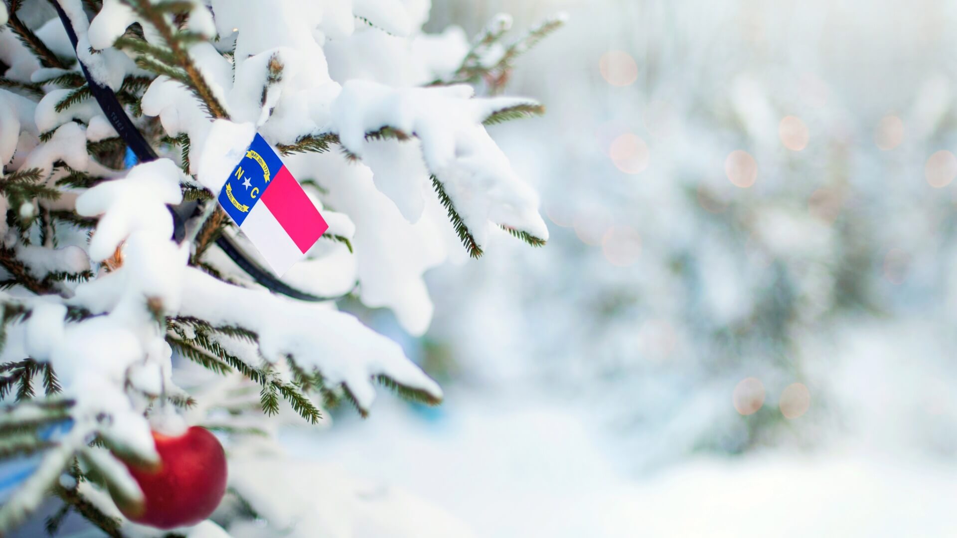 Choosing and Caring for Your Real North Carolina Christmas Tree ...