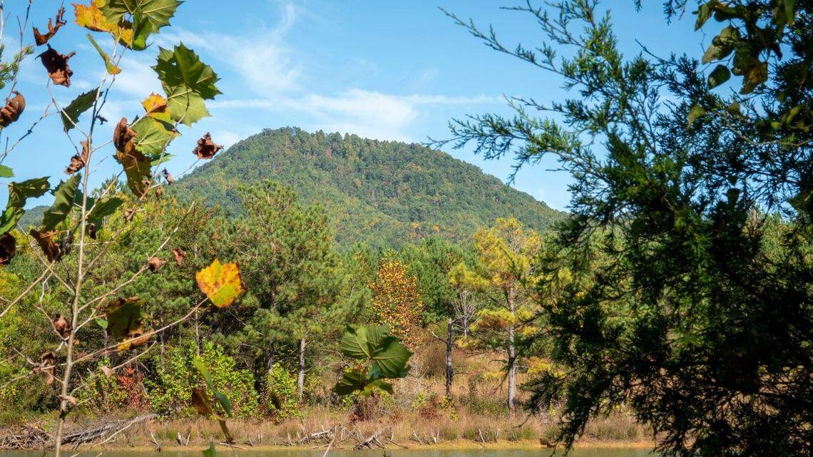Foothills Conservancy of North Carolina photo