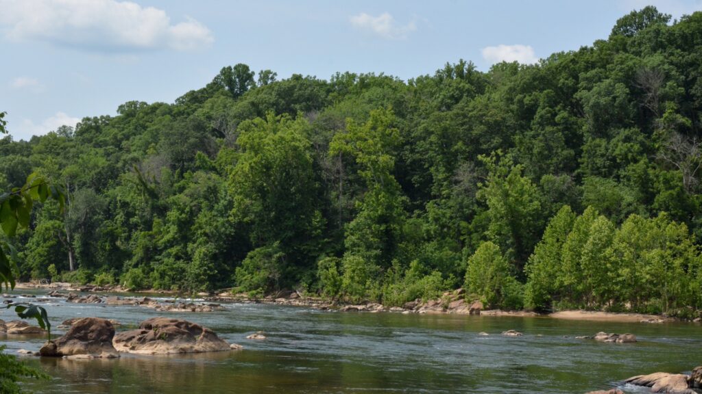 Sustainable Forestry and Land Retention Project Expands to Three More North Carolina Counties