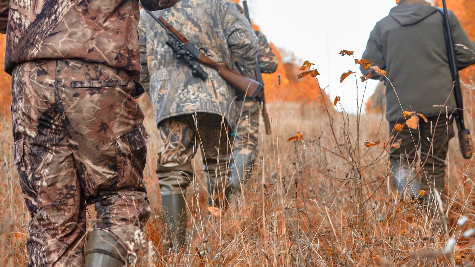 Buying Hunting Land in North Carolina: What to Look for Beyond the Acreage