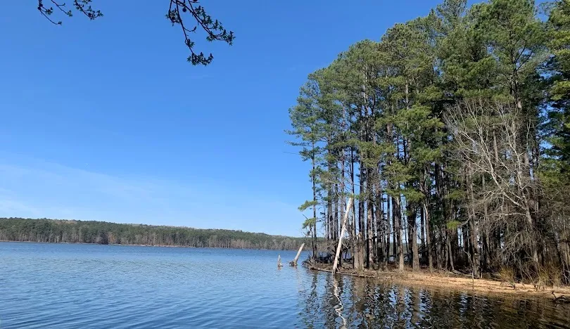 Chatham County, NC - Carolina Forestry Real Estate Blog