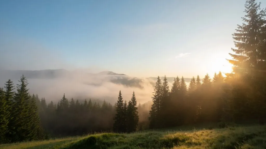 The Town of Mills River has officially launched its Land Preservation Program