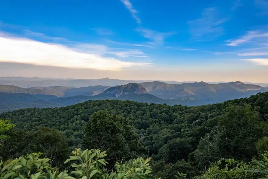Environmental Groups Sue to Halt Expanded Logging in Pisgah and Nantahala Forests, Carolina Forestry Realty Update