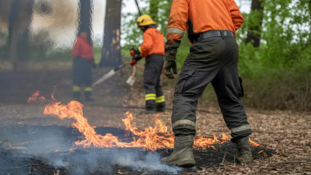 Prescribed Burning: A Proven Tool for Managing Forestland in North Carolina